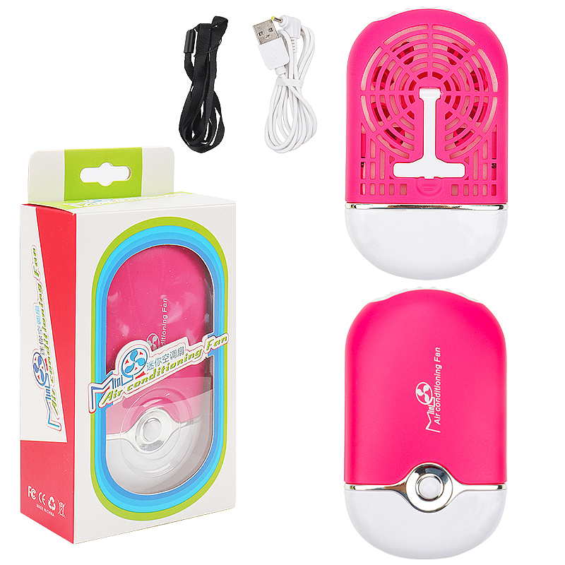 Mini USB Charging Eyelash Fan  - Eyelash Extension Look recension och pris